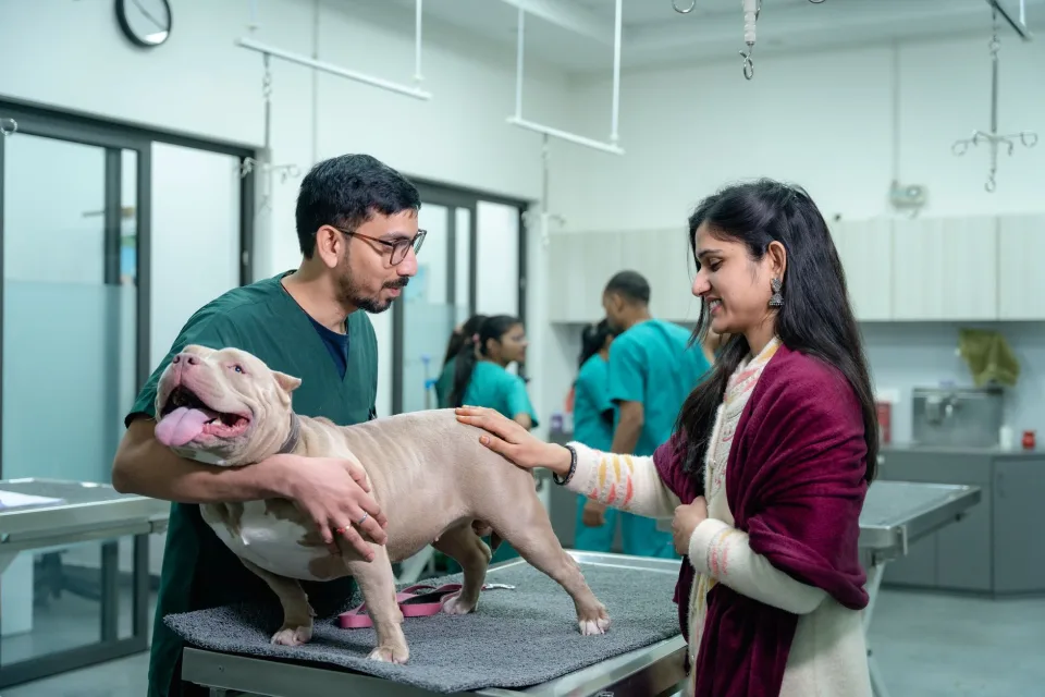 Hình ảnh tại Phòng Khám Thú Cưng Love Pet 3
